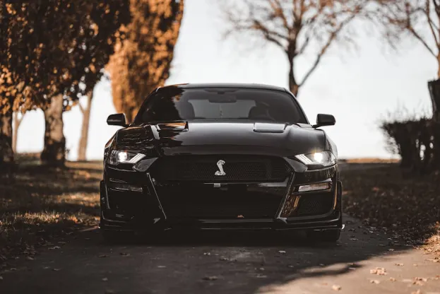 Ripper Casino App Android/iOS